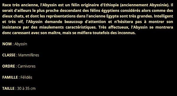 abyssin-texte1.jpg