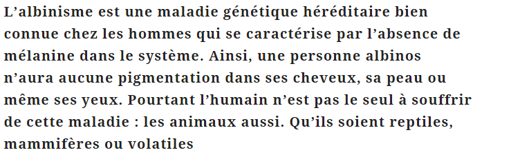 albinos-texte_19.png