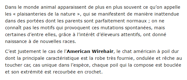 american-texte1_1.png