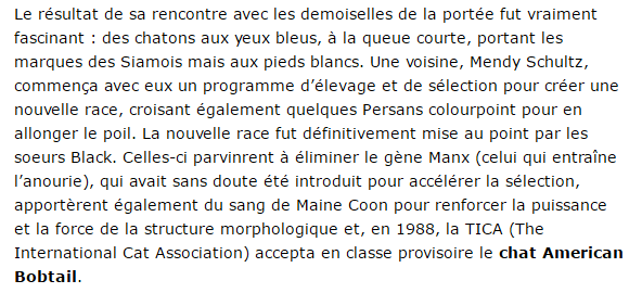 american-texte3.png