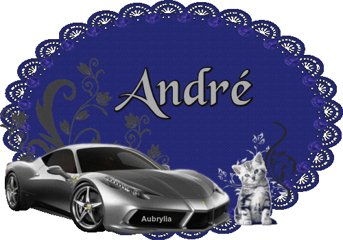 andre.gif