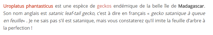 anim-rare-photo2texte.png