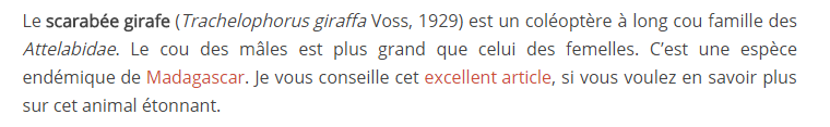 anim-rare-scarabe-texte.png