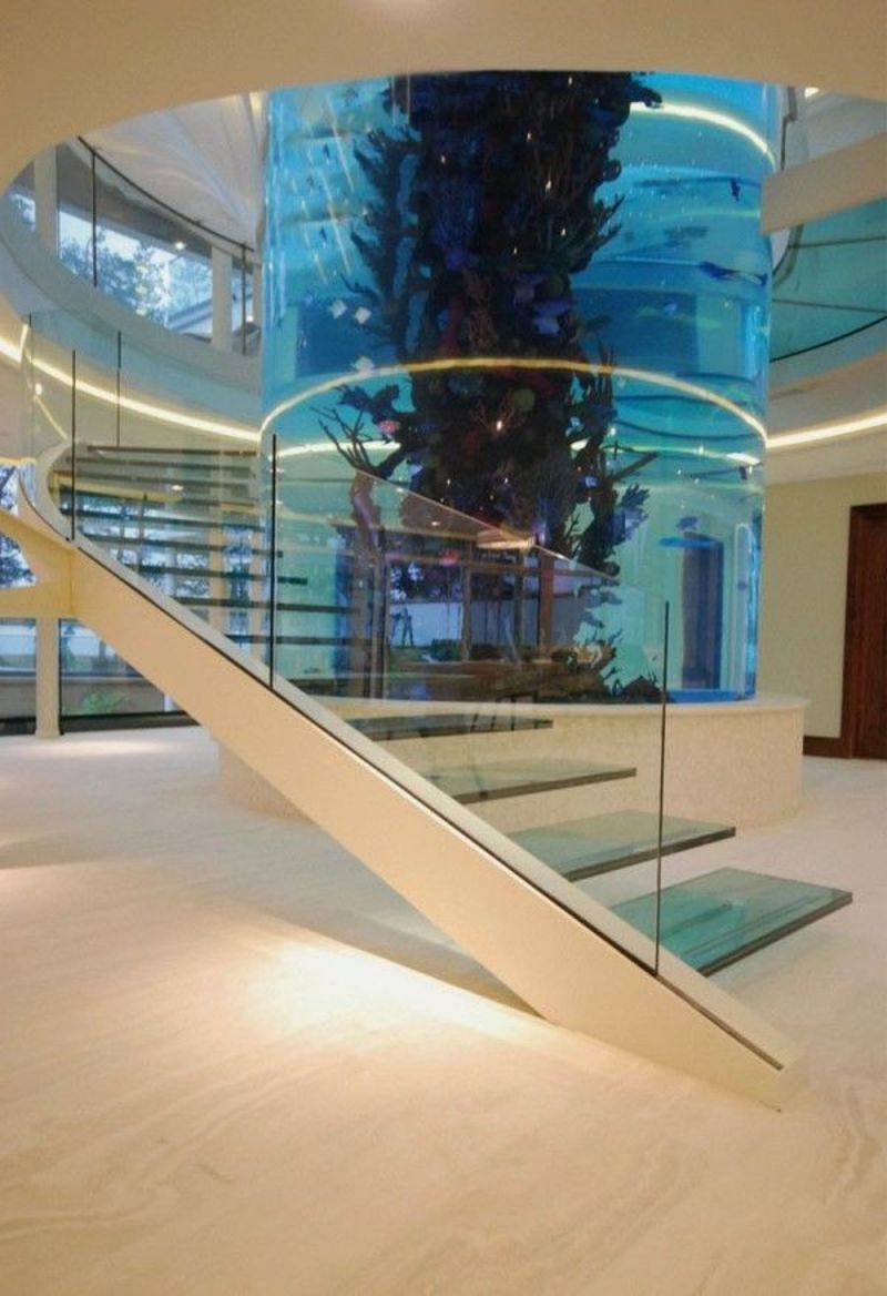 aquarium-centre-escalier.jpg