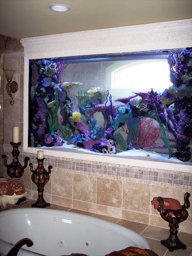 aquarium-de-salle-de-bain.jpg