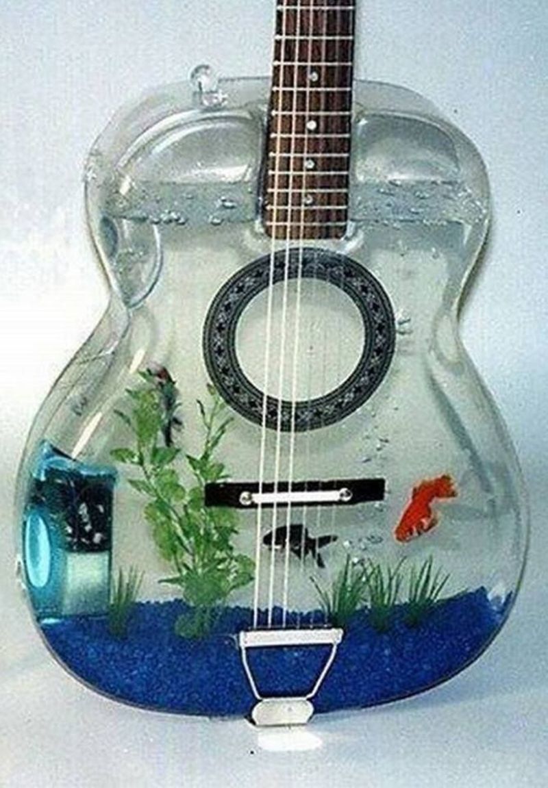 aquarium-guitare.jpg