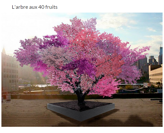 arbre7-a_1.png