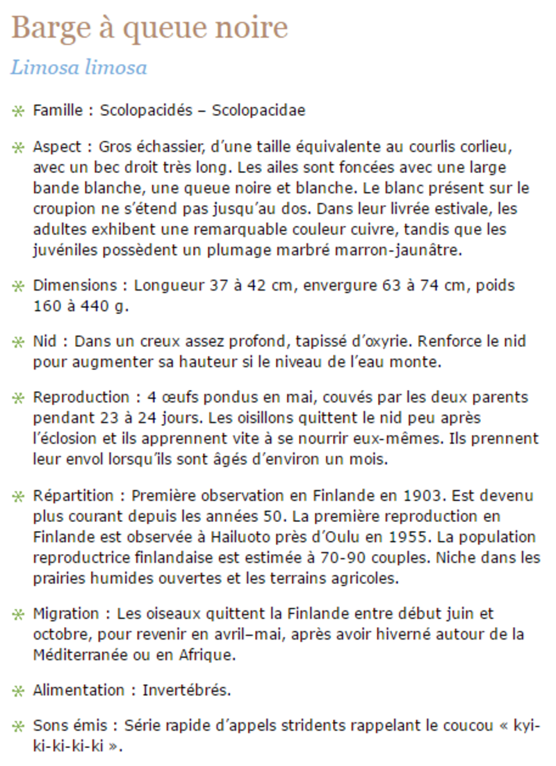 barge-texte1.png