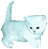 barre-chat-blanc_1.gif