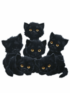 barre-chatons-noirs-yeux_1.gif
