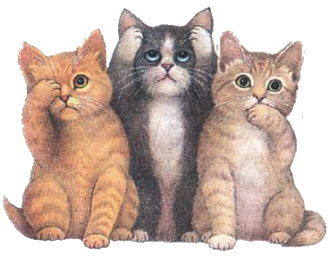 barre-chatons-trois.gif