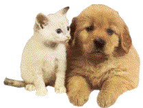 barre-chien-chat_1.gif