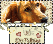 barre-chien-ici-on-t-aime.gif