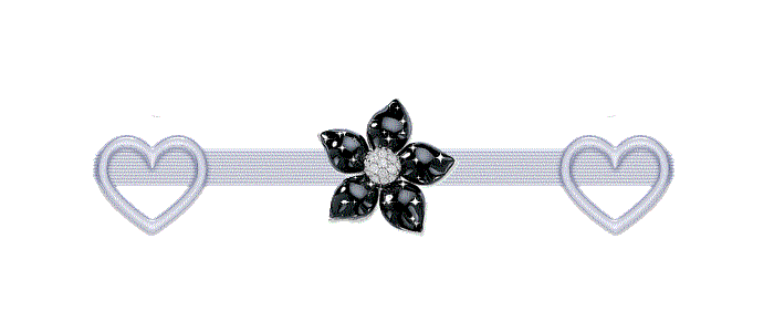 barre-fleur-noire-centrale_1.gif