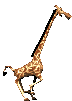 barre-girafe_1.gif