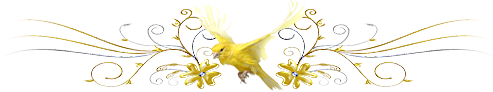 barre-oiseau-jaune.png