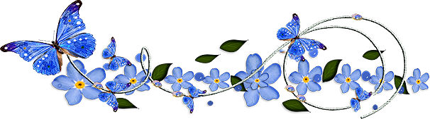 barre-papillon-bleu.png