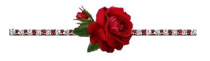 barre-rose-rouge.gif