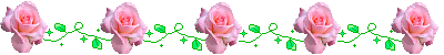 barre-roses-roses.gif