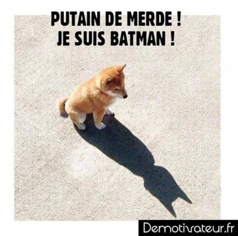 batman_1.jpg