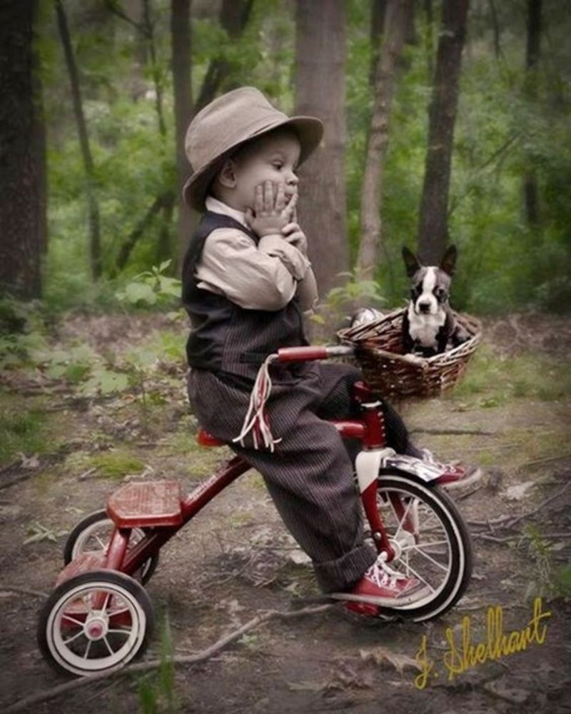 belle-image-garcol-tricycle.jpg