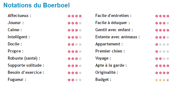boerboel-note.png