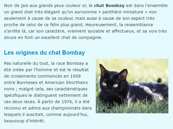 bombay-texte1.png