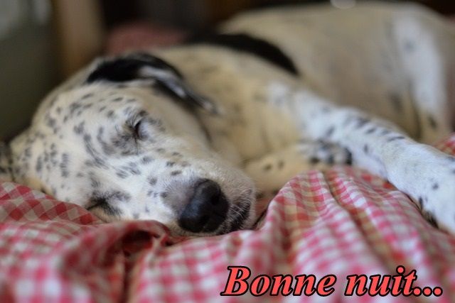 bonnenuit1_1.jpg