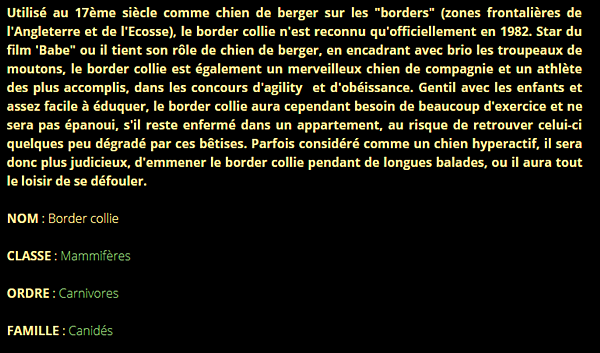 border-texte1.png