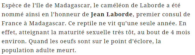 cameleon-laborde-texte.png