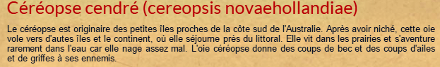 cereopse-texte.png