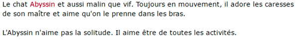 chat-abyssin-texte_1.png