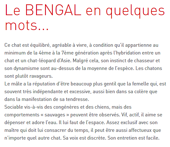 chat-bengal-texte2.png