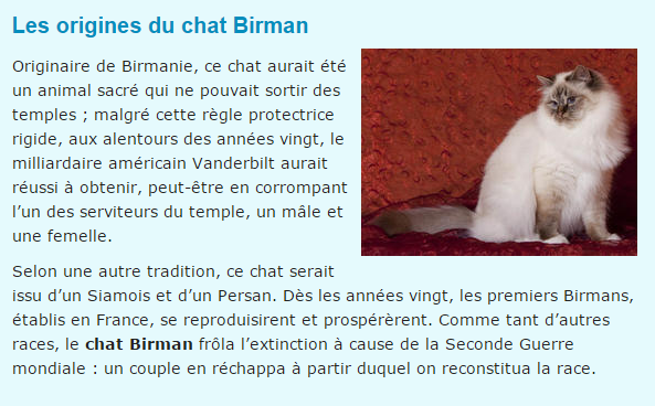 chat-birman-texte.png