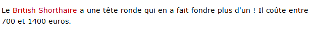 chat-british-cher-texte.png