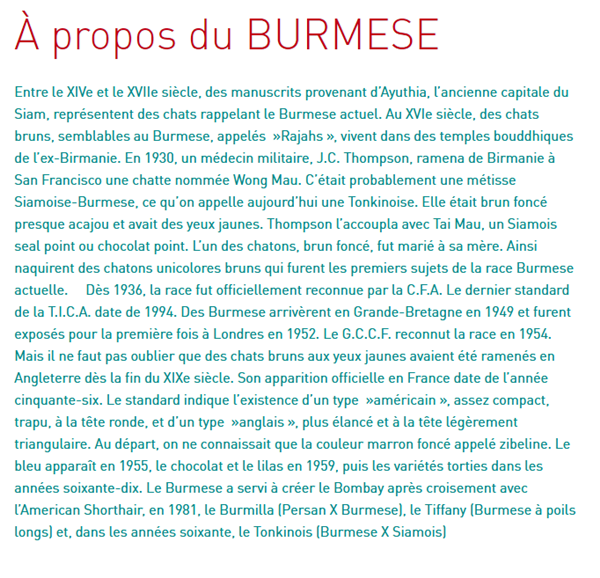 chat-burmese-texte.png