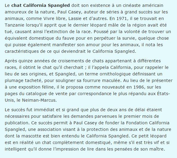 chat-california-spangled-texte.png