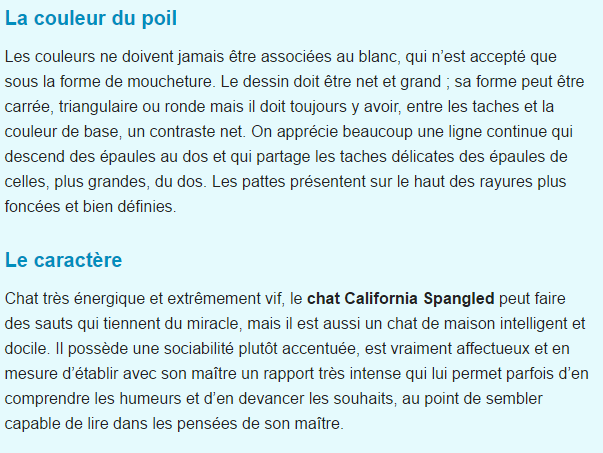 chat-california-spangled-texte3.png