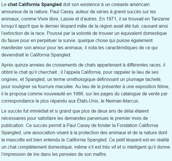chat-california-spangled-texte_1.png