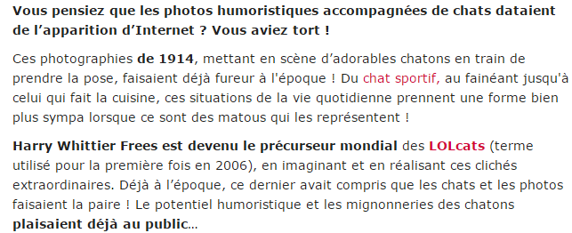 chat-cent-ans-texte_1.png
