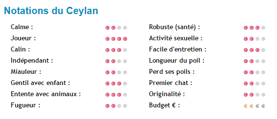 chat-ceylan-note.png