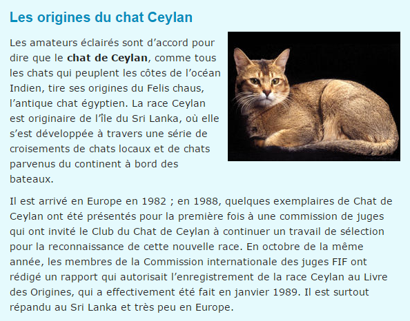 chat-ceylan-texte.png