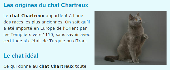chat-chartreux-texte.png