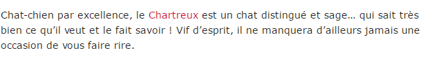 chat-chartreux-texte_1.png