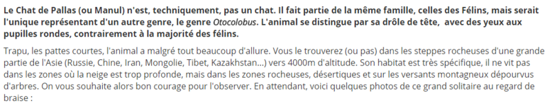 chat-de-pallas-texte.png