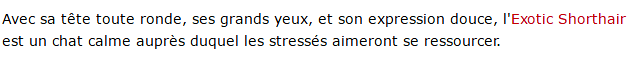 chat-exotic-shorthair-caractere-texte.png