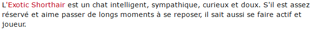 chat-exotic-shorthair-texte.png