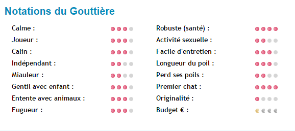 chat-gouttiere-note.png