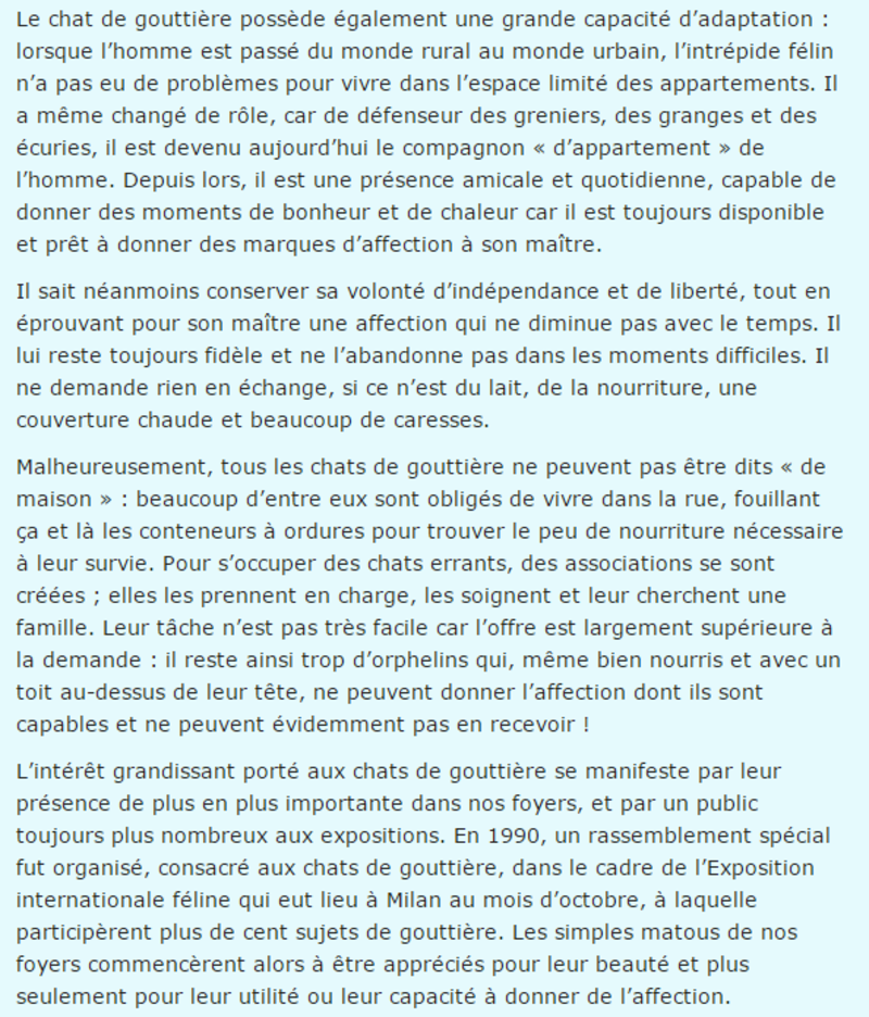 chat-gouttiere-texte2.png