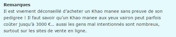 chat-khao-texte5.jpg